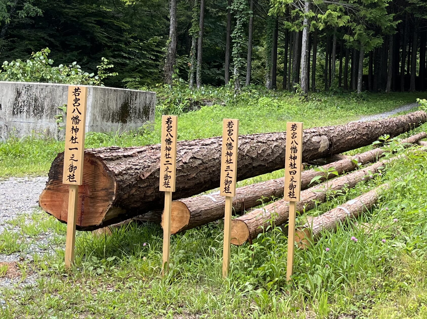 武智 川 さん